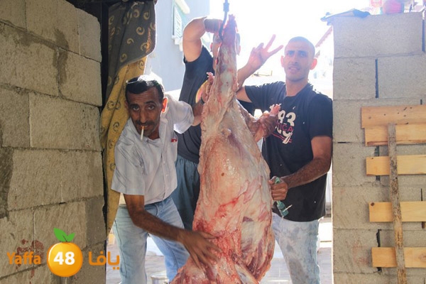 dabe7 ludj31 (14).JPG